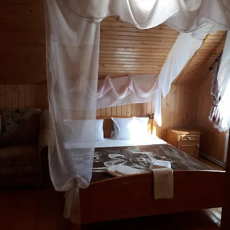 ансол Pensjonat Worochta